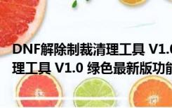 DNF解除制裁清理工具 V1.0 绿色最新版（DNF解除制裁清理工具 V1.0 绿色最新版功能简介）