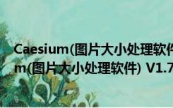 Caesium(图片大小处理软件) V1.7.0 多语免费版（Caesium(图片大小处理软件) V1.7.0 多语免费版功能简介）