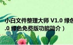 小白文件整理大师 V1.0 绿色免费版（小白文件整理大师 V1.0 绿色免费版功能简介）