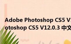 Adobe Photoshop CS5 V12.0.3 中文绿色版（Adobe Photoshop CS5 V12.0.3 中文绿色版功能简介）