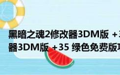 黑暗之魂2修改器3DM版 +35 绿色免费版（黑暗之魂2修改器3DM版 +35 绿色免费版功能简介）