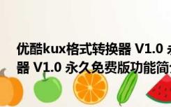 优酷kux格式转换器 V1.0 永久免费版（优酷kux格式转换器 V1.0 永久免费版功能简介）