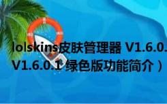 lolskins皮肤管理器 V1.6.0.1 绿色版（lolskins皮肤管理器 V1.6.0.1 绿色版功能简介）