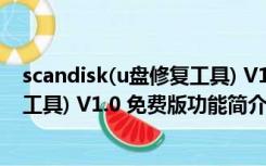 scandisk(u盘修复工具) V1.0 免费版（scandisk(u盘修复工具) V1.0 免费版功能简介）