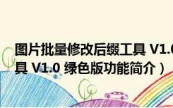 图片批量修改后缀工具 V1.0 绿色版（图片批量修改后缀工具 V1.0 绿色版功能简介）