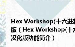 Hex Workshop(十六进制编辑器) V6.8.0.5419 绿色汉化版（Hex Workshop(十六进制编辑器) V6.8.0.5419 绿色汉化版功能简介）