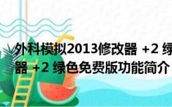 外科模拟2013修改器 +2 绿色免费版（外科模拟2013修改器 +2 绿色免费版功能简介）