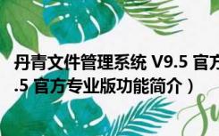 丹青文件管理系统 V9.5 官方专业版（丹青文件管理系统 V9.5 官方专业版功能简介）