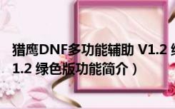 猎鹰DNF多功能辅助 V1.2 绿色版（猎鹰DNF多功能辅助 V1.2 绿色版功能简介）