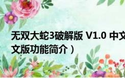 无双大蛇3破解版 V1.0 中文版（无双大蛇3破解版 V1.0 中文版功能简介）