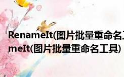 RenameIt(图片批量重命名工具) V1.39 绿色免费版（RenameIt(图片批量重命名工具) V1.39 绿色免费版功能简介）