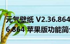 元气壁纸 V2.36.864 苹果版（元气壁纸 V2.36.864 苹果版功能简介）