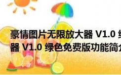 豪情图片无限放大器 V1.0 绿色免费版（豪情图片无限放大器 V1.0 绿色免费版功能简介）