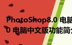 PhotoShop8.0 电脑中文版（PhotoShop8.0 电脑中文版功能简介）