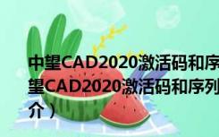 中望CAD2020激活码和序列号生成器 32/64位 绿色版（中望CAD2020激活码和序列号生成器 32/64位 绿色版功能简介）