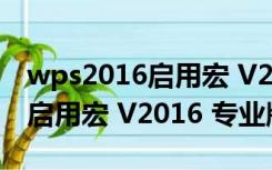 wps2016启用宏 V2016 专业版（wps2016启用宏 V2016 专业版功能简介）