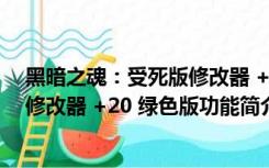 黑暗之魂：受死版修改器 +20 绿色版（黑暗之魂：受死版修改器 +20 绿色版功能简介）