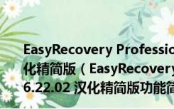 EasyRecovery Professional(数据恢复软件) V6.22.02 汉化精简版（EasyRecovery Professional(数据恢复软件) V6.22.02 汉化精简版功能简介）