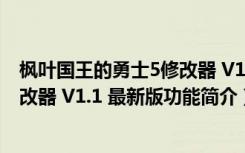 枫叶国王的勇士5修改器 V1.1 最新版（枫叶国王的勇士5修改器 V1.1 最新版功能简介）