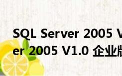 SQL Server 2005 V1.0 企业版（SQL Server 2005 V1.0 企业版功能简介）