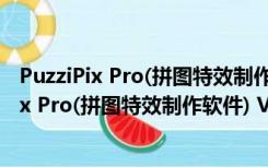 PuzziPix Pro(拼图特效制作软件) V1.0.5 官方版（PuzziPix Pro(拼图特效制作软件) V1.0.5 官方版功能简介）