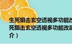 生死狙击玄空透视多功能改武器辅助2016 V1.1 最新版（生死狙击玄空透视多功能改武器辅助2016 V1.1 最新版功能简介）