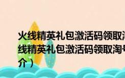 火线精英礼包激活码领取淘号工具 V2020 最新免费版（火线精英礼包激活码领取淘号工具 V2020 最新免费版功能简介）