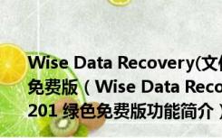 Wise Data Recovery(文件数据恢复软件) V3.84.201 绿色免费版（Wise Data Recovery(文件数据恢复软件) V3.84.201 绿色免费版功能简介）