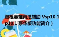 爆枪英雄南瓜辅助 Vsp10.1 豪华版（爆枪英雄南瓜辅助 Vsp10.1 豪华版功能简介）