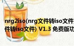 nrg2iso(nrg文件转iso文件) V1.3 免费版（nrg2iso(nrg文件转iso文件) V1.3 免费版功能简介）