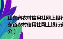 山东省农村信用社网上银行安全控件 V2.3.9.11 官方版（山东省农村信用社网上银行安全控件 V2.3.9.11 官方版功能简介）