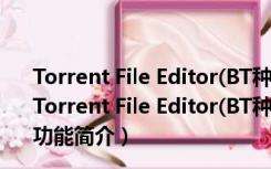 Torrent File Editor(BT种子编辑器) V0.3.16 32位绿色版（Torrent File Editor(BT种子编辑器) V0.3.16 32位绿色版功能简介）