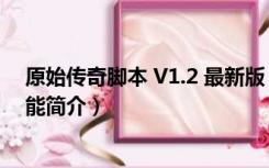 原始传奇脚本 V1.2 最新版（原始传奇脚本 V1.2 最新版功能简介）