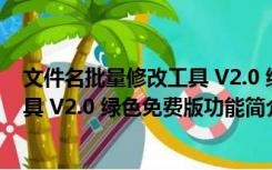 文件名批量修改工具 V2.0 绿色免费版（文件名批量修改工具 V2.0 绿色免费版功能简介）