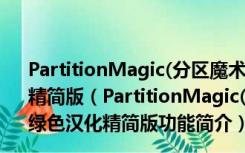 PartitionMagic(分区魔术师)v8.05 (Build 1371) 绿色汉化精简版（PartitionMagic(分区魔术师)v8.05 (Build 1371) 绿色汉化精简版功能简介）