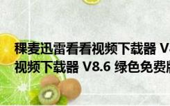 稞麦迅雷看看视频下载器 V8.6 绿色免费版（稞麦迅雷看看视频下载器 V8.6 绿色免费版功能简介）