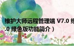 维护大师远程管理端 V7.0 绿色版（维护大师远程管理端 V7.0 绿色版功能简介）