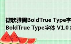 微软雅黑BoldTrue Type字体 V1.0 绿色免费版（微软雅黑BoldTrue Type字体 V1.0 绿色免费版功能简介）