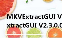 MKVExtractGUI V2.3.0.0 绿色版（MKVExtractGUI V2.3.0.0 绿色版功能简介）