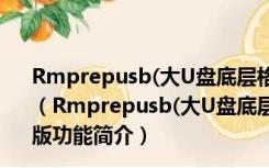 Rmprepusb(大U盘底层格式化软件) V2.1.744 免费汉化版（Rmprepusb(大U盘底层格式化软件) V2.1.744 免费汉化版功能简介）