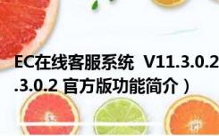 EC在线客服系统  V11.3.0.2 官方版（EC在线客服系统  V11.3.0.2 官方版功能简介）