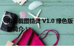 屏幕截图精灵 V1.0 绿色版（屏幕截图精灵 V1.0 绿色版功能简介）