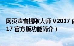 网页声音提取大师 V2017 官方版（网页声音提取大师 V2017 官方版功能简介）