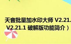 天音批量加水印大师 V2.21.1 破解版（天音批量加水印大师 V2.21.1 破解版功能简介）