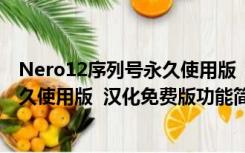 Nero12序列号永久使用版  汉化免费版（Nero12序列号永久使用版  汉化免费版功能简介）