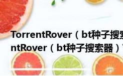 TorrentRover（bt种子搜索器）V1.0 官方安装版（TorrentRover（bt种子搜索器）V1.0 官方安装版功能简介）