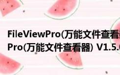 FileViewPro(万能文件查看器) V1.5.0.0 破解版（FileViewPro(万能文件查看器) V1.5.0.0 破解版功能简介）