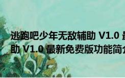 逃跑吧少年无敌辅助 V1.0 最新免费版（逃跑吧少年无敌辅助 V1.0 最新免费版功能简介）