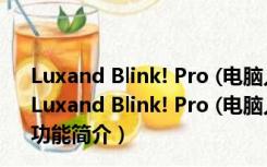 Luxand Blink! Pro (电脑人脸识别软件) V2.4 汉化破解版（Luxand Blink! Pro (电脑人脸识别软件) V2.4 汉化破解版功能简介）