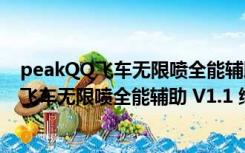 peakQQ飞车无限喷全能辅助 V1.1 绿色免费版（peakQQ飞车无限喷全能辅助 V1.1 绿色免费版功能简介）